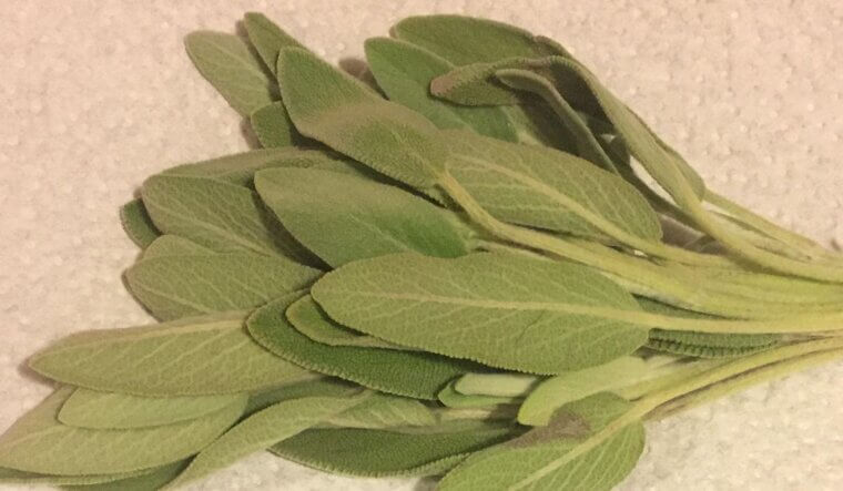 Herbal Sage Solution