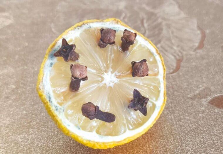 Lemon Clove Repellent
