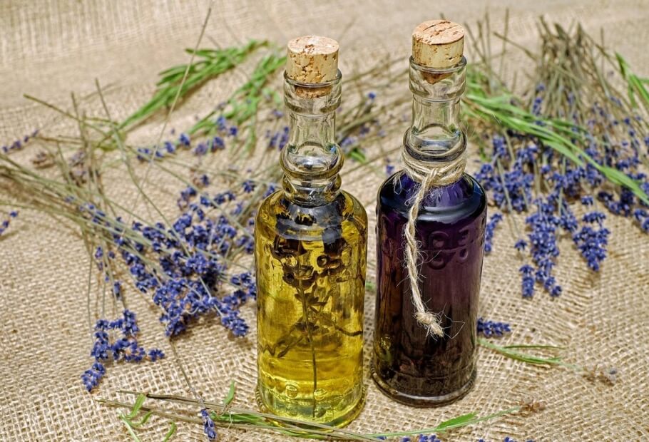 DIY Pest Control That Can Replace Costly Services