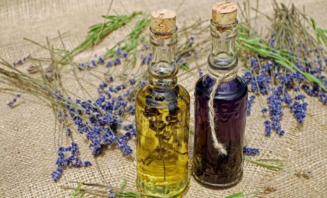 DIY Pest Control That Can Replace Costly Services