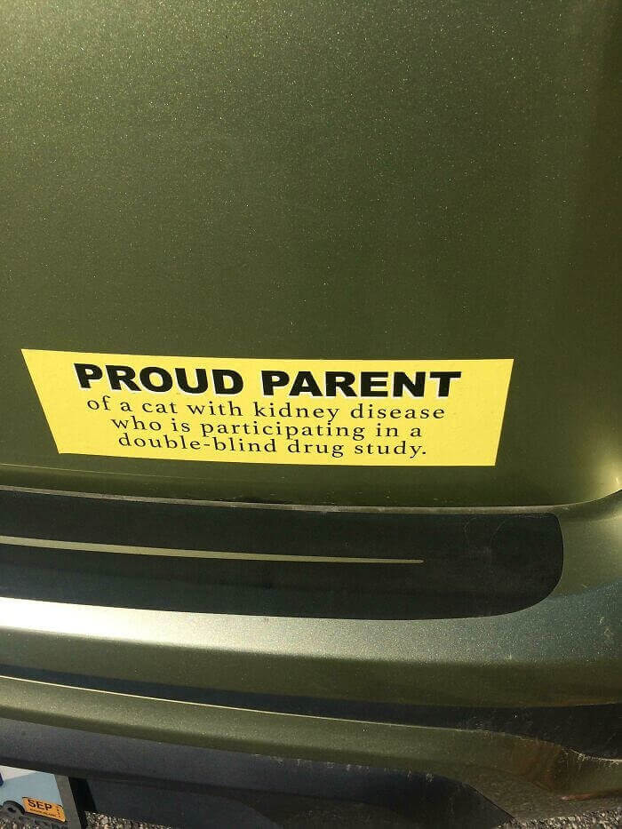 A Proud Cat Parent