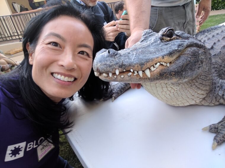 Crocodile Smile
