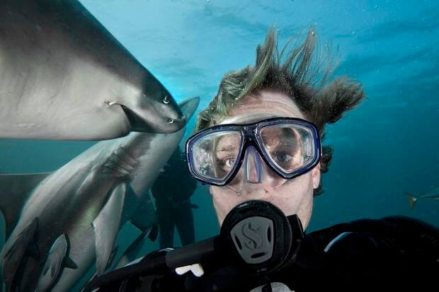 Underwater Love