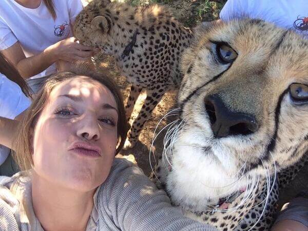 Here Kitty Kitty