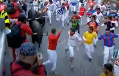 Running with the Bulls
