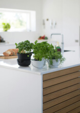 Regret Follows These Popular Kitchen Design Choices