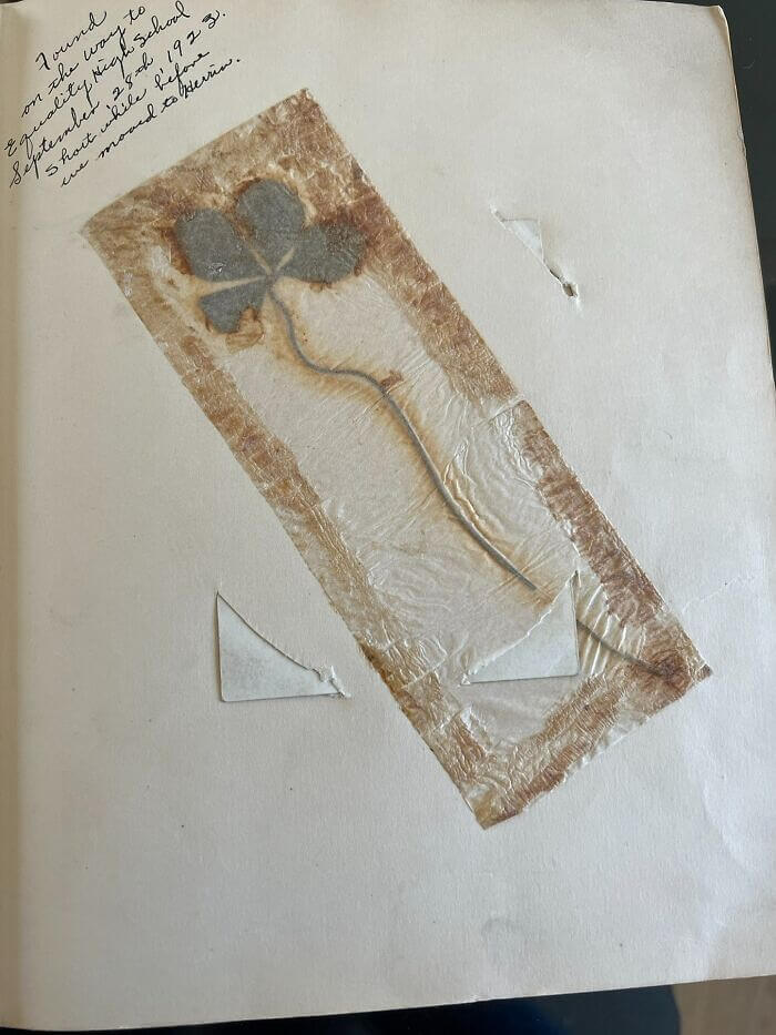 Klavertjevier gevonden in 1923