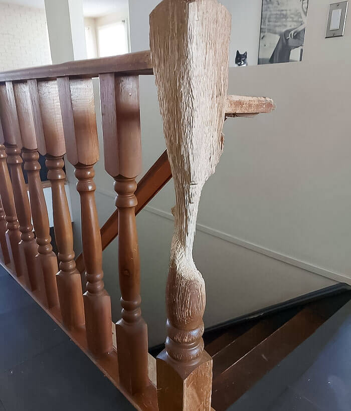 11 jaar kattenkrabben