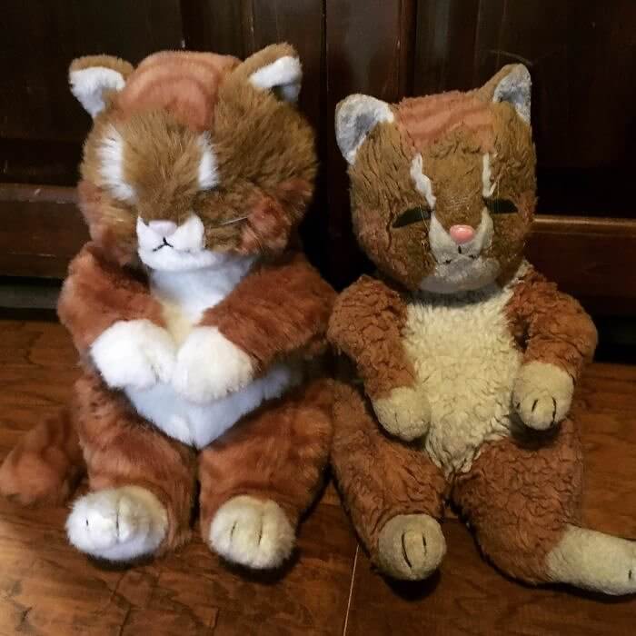 Deze twee knuffeldieren zijn op hetzelfde moment gekocht