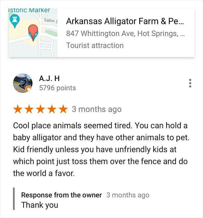 Fun For All The Family At This Alligator Petting Zoo