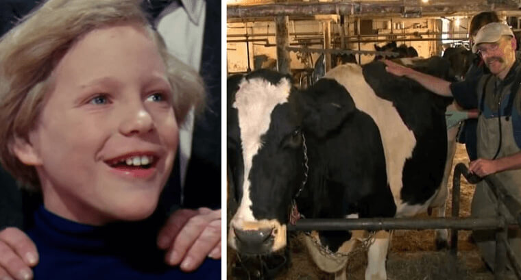 Peter Ostrum Became a Large-Animal Veterinarian