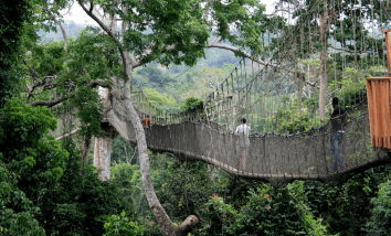 Ponts du monde entier qui nous feraient réfléchir à deux fois avant de les traverser