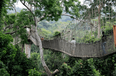Brücken auf der ganzen Welt, bei denen wir zweimal überlegen würden, ob wir sie überqueren
