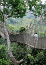 건너기 전에 한 번 더 생각하게 만드는 세계 곳곳의 다리
