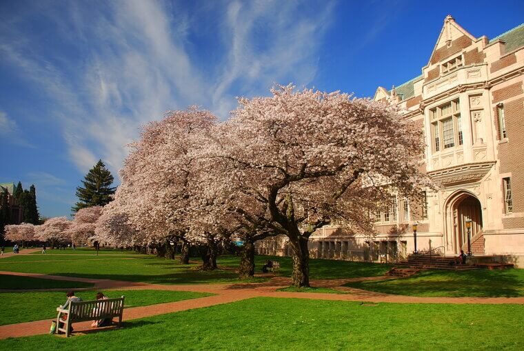 31. University of Washington – $3.7 Billion