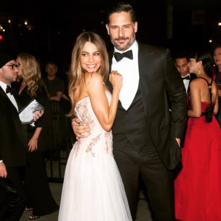 surprising facts  sofia vergara   change
