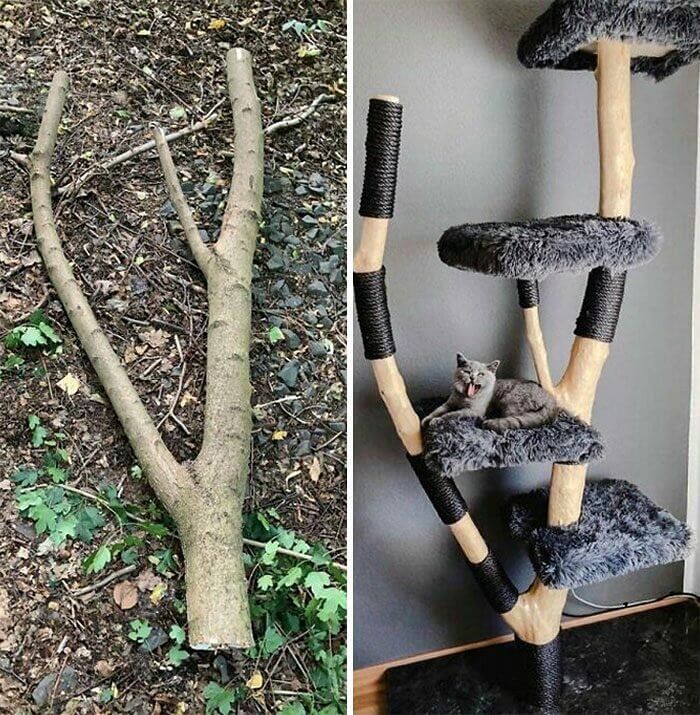 Turning an Old Branch Into a Cat Tower