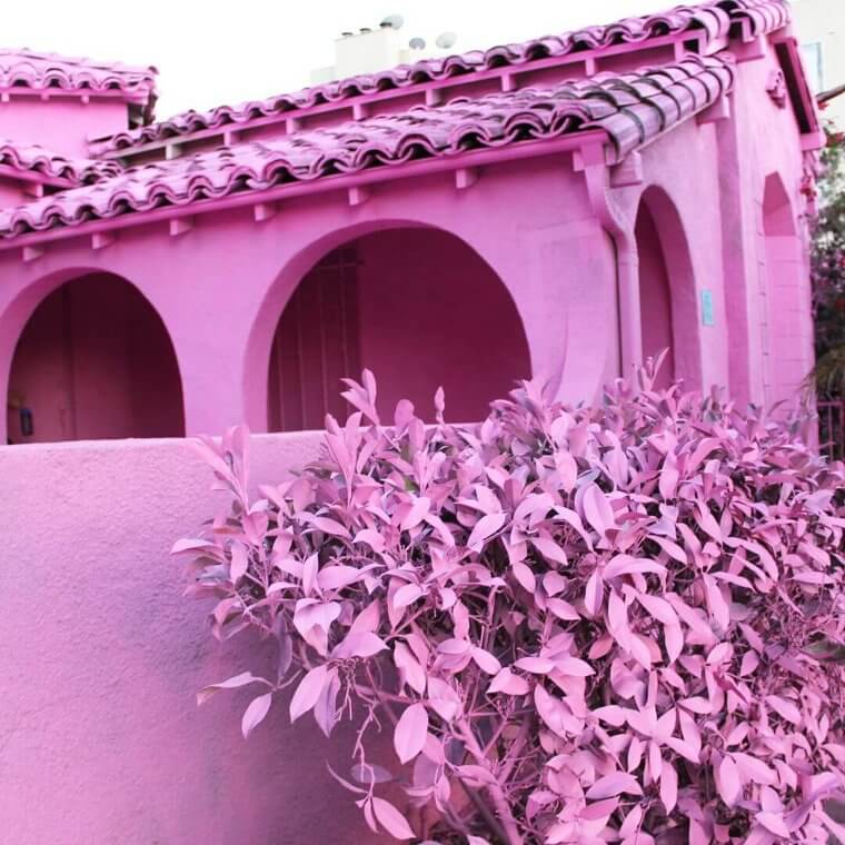 Nomadica Wine Paints The Town