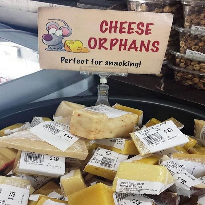 These Cheese Orphans Need a Home