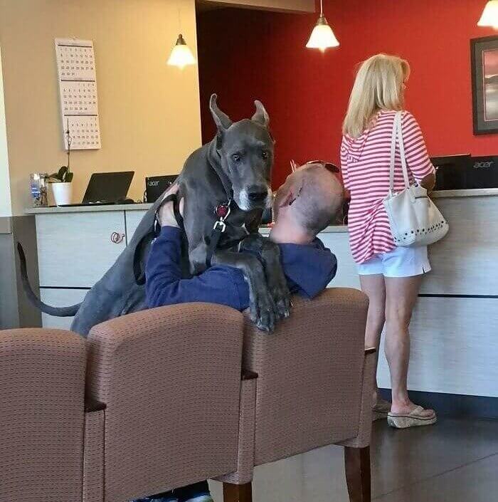 "Hold Me I'm Scared"