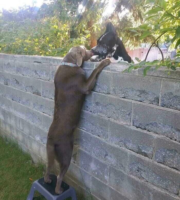 Taking the Whole Girl Next Door Thing A Little Too Far