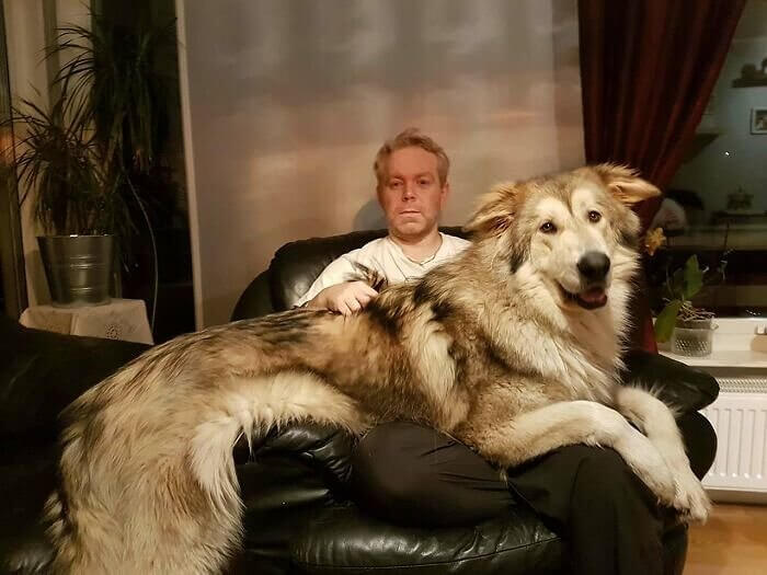 That Moment When You Audition for A Role as A James Bond Villain