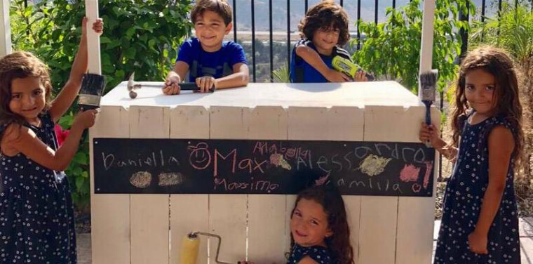 A Family Lemonade Stand