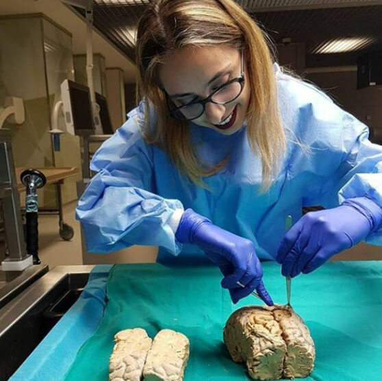 Eine Lektion von Deutschlands Sozialmedizin