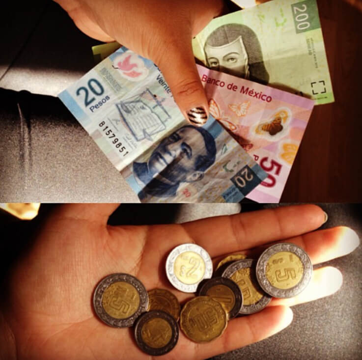 Langlebig und hübsches Geld