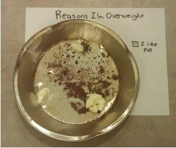 The Most Genuine Pie Chart There Ever Was