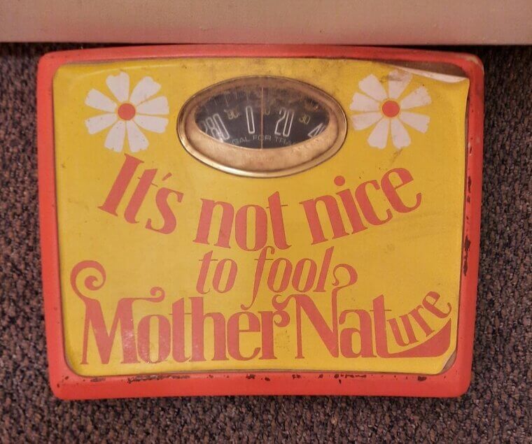 The Bathroom Scale Nobody Trusted