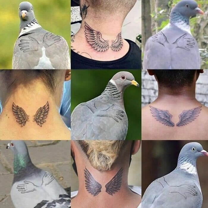 Imagine if Other Animals Did the Stuff Humans Do