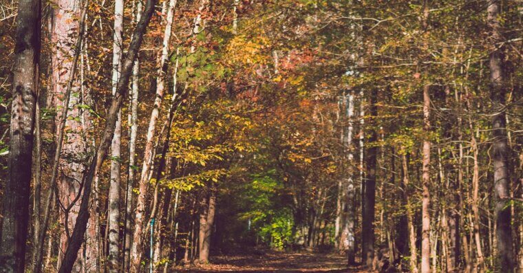 Cary, North Carolina