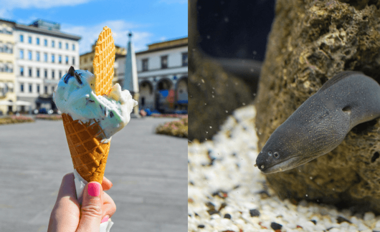 Eel Flavored Ice Cream Exists