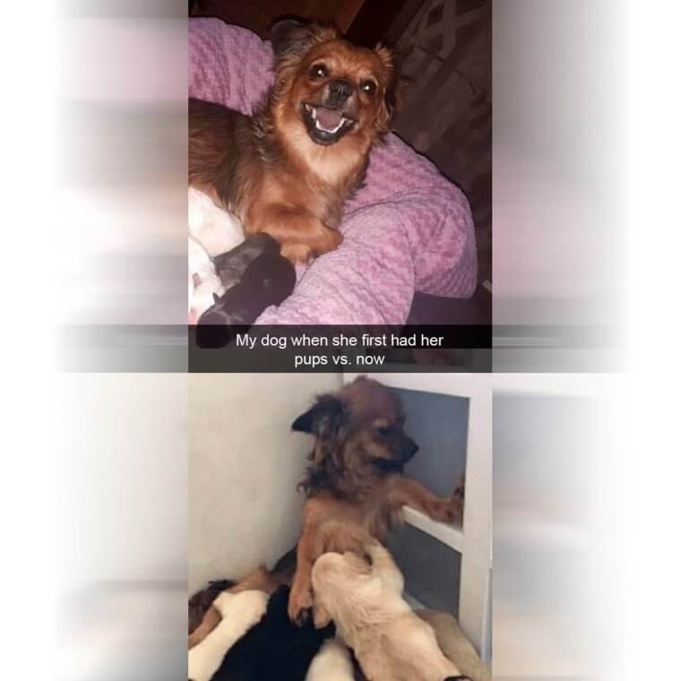 "They Suck The Life Out Of Me"