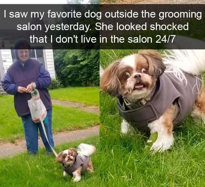 "Am I Getting Groomed Again?"