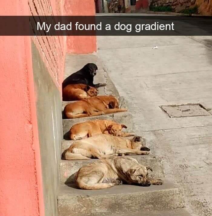 When Your Printer Runs Out Of Ink