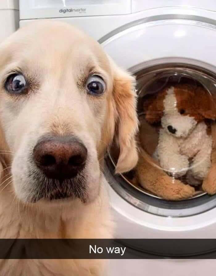 "WHAT ARE YOU DOING TO THEM?!"