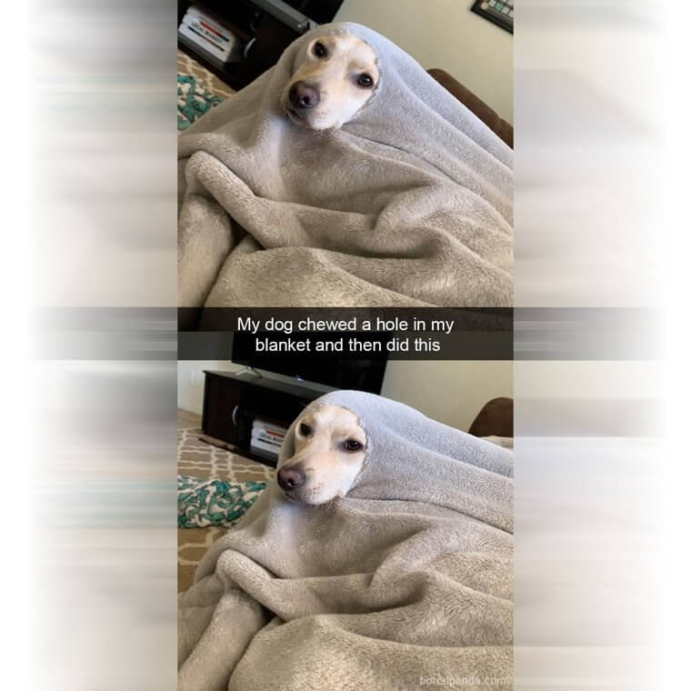 Making Her Own Snuggie