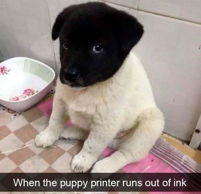 On His Way To Rob A Bank