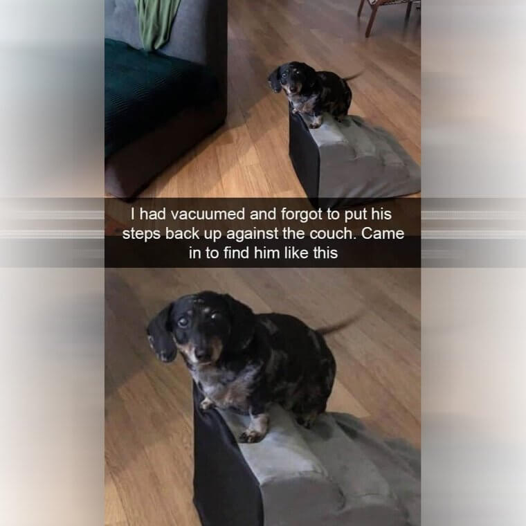 "This Is My Island Now"