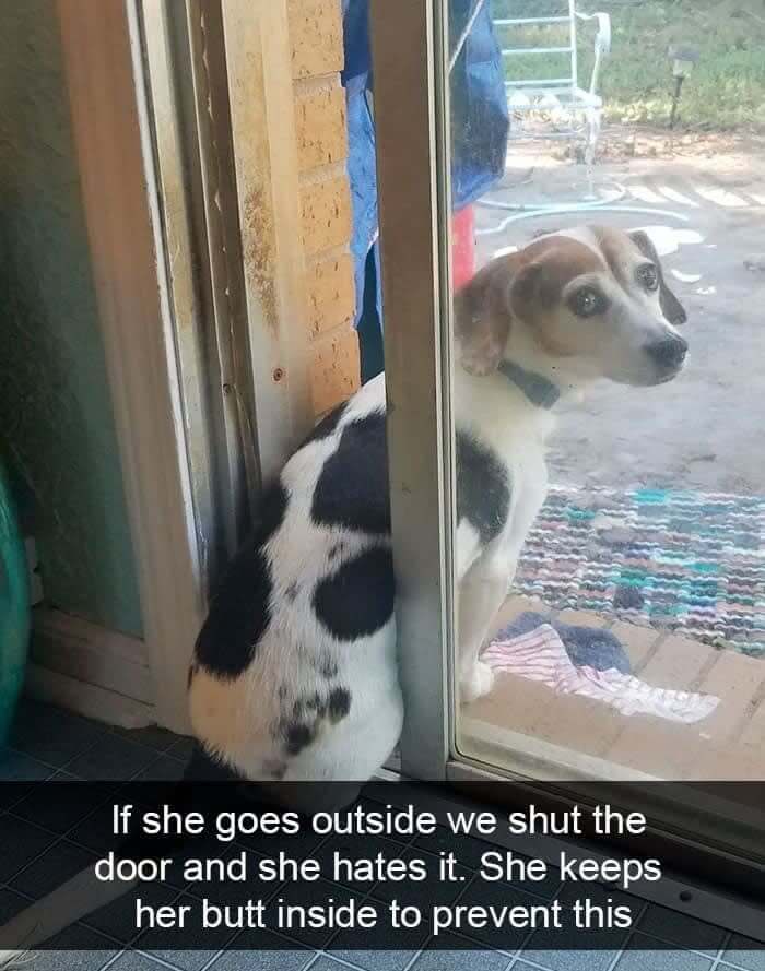 Modern Problems Require Modern Solutions