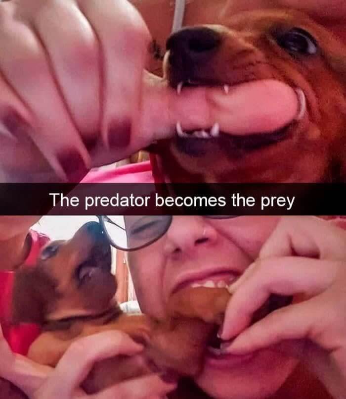 "Linda, No, Bad Girl"