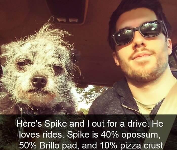 40% Opossum, 50% Brillo Pad, 10% Pizza Crust, And 100% Hilarious