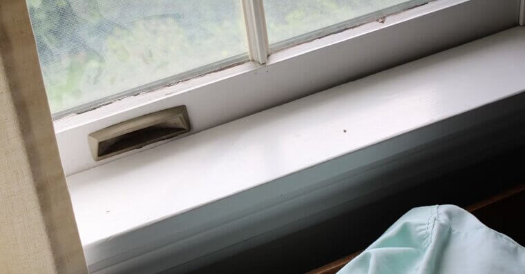 Soap and Water for Windowsills