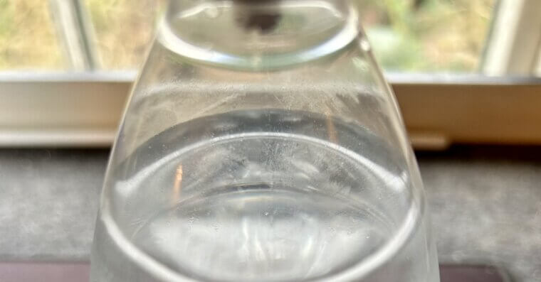 Club Soda for Spills