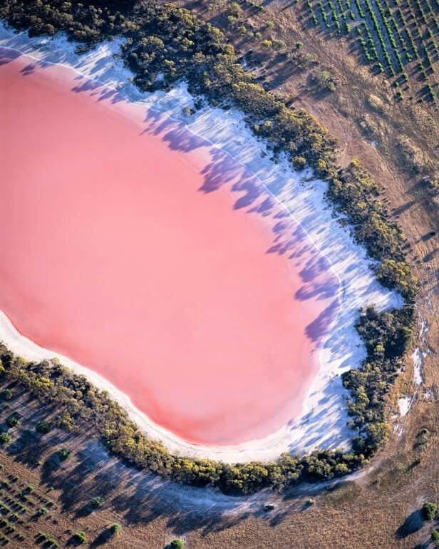 Pink Lakes Dot The Island And Are Safe For Swimming