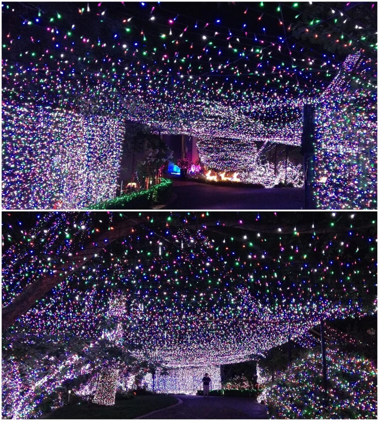 Christmas Is A Time For Celebration And A Whole Lot Of Lights