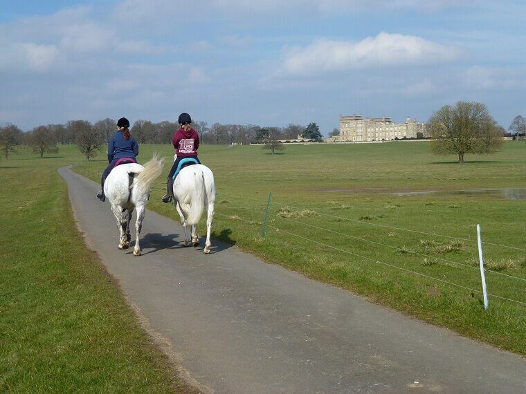 Riding Horses on Public Roads