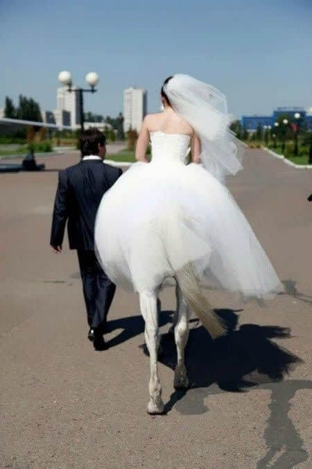 Centaurs Deserve Love Just As Much As Humans
